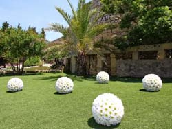 Garden Decorated with Flower Balls